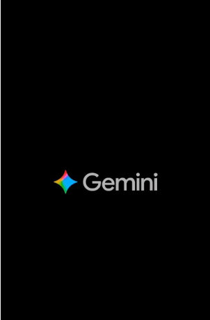 google Gemini image